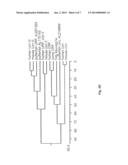 UROCORTIN-III AND USES THEREOF diagram and image