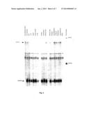 UROCORTIN-III AND USES THEREOF diagram and image