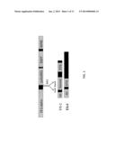 ETS2 AND MESP1 GENERATE CARDIAC PROGENITORS FROM FIBROBLASTS diagram and image