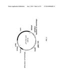 MEGANUCLEASE RECOMBINATION SYSTEM diagram and image