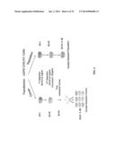 MEGANUCLEASE RECOMBINATION SYSTEM diagram and image