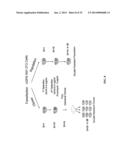 MEGANUCLEASE RECOMBINATION SYSTEM diagram and image