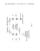 MEGANUCLEASE RECOMBINATION SYSTEM diagram and image