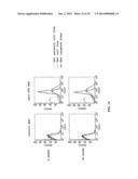 MEGANUCLEASE RECOMBINATION SYSTEM diagram and image