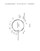 MEGANUCLEASE RECOMBINATION SYSTEM diagram and image