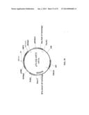 MEGANUCLEASE RECOMBINATION SYSTEM diagram and image