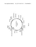 MEGANUCLEASE RECOMBINATION SYSTEM diagram and image