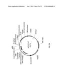 MEGANUCLEASE RECOMBINATION SYSTEM diagram and image