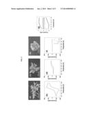 PROTEIN DETECTION METHOD diagram and image