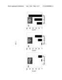 PROTEIN DETECTION METHOD diagram and image