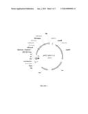 MULTIPLE MUTATION VARIANTS OF SERINE PROTEASE diagram and image