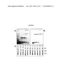 Oligoadenylate Synthetase (OAS) diagram and image