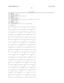 Oligoadenylate Synthetase (OAS) diagram and image