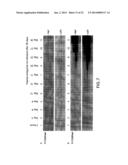 COMPOSITIONS AND METHODS FOR TREATING AIDS OR CANCER BY INHIBITING THE     SECRETION OF MICROPARTICLES diagram and image