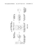 COMPOSITIONS AND METHODS FOR TREATING AIDS OR CANCER BY INHIBITING THE     SECRETION OF MICROPARTICLES diagram and image