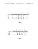 SCAFFOLD PEPTIDES diagram and image