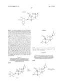 CONTRACEPTIVE AGENTS diagram and image