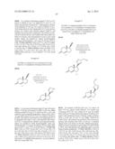 CONTRACEPTIVE AGENTS diagram and image