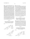 CONTRACEPTIVE AGENTS diagram and image