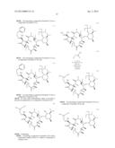 KETOLIDE COMPOUNDS diagram and image