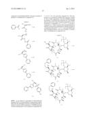 KETOLIDE COMPOUNDS diagram and image