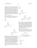 BIPYRIDINE SULFONAMIDE DERIVATIVES FOR THE TREATMENT OF NEURODEGENERATIVE     DISEASES OR CONDITIONS diagram and image