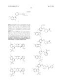 INHIBITORS OF INFLUENZA VIRUSES REPLICATION diagram and image