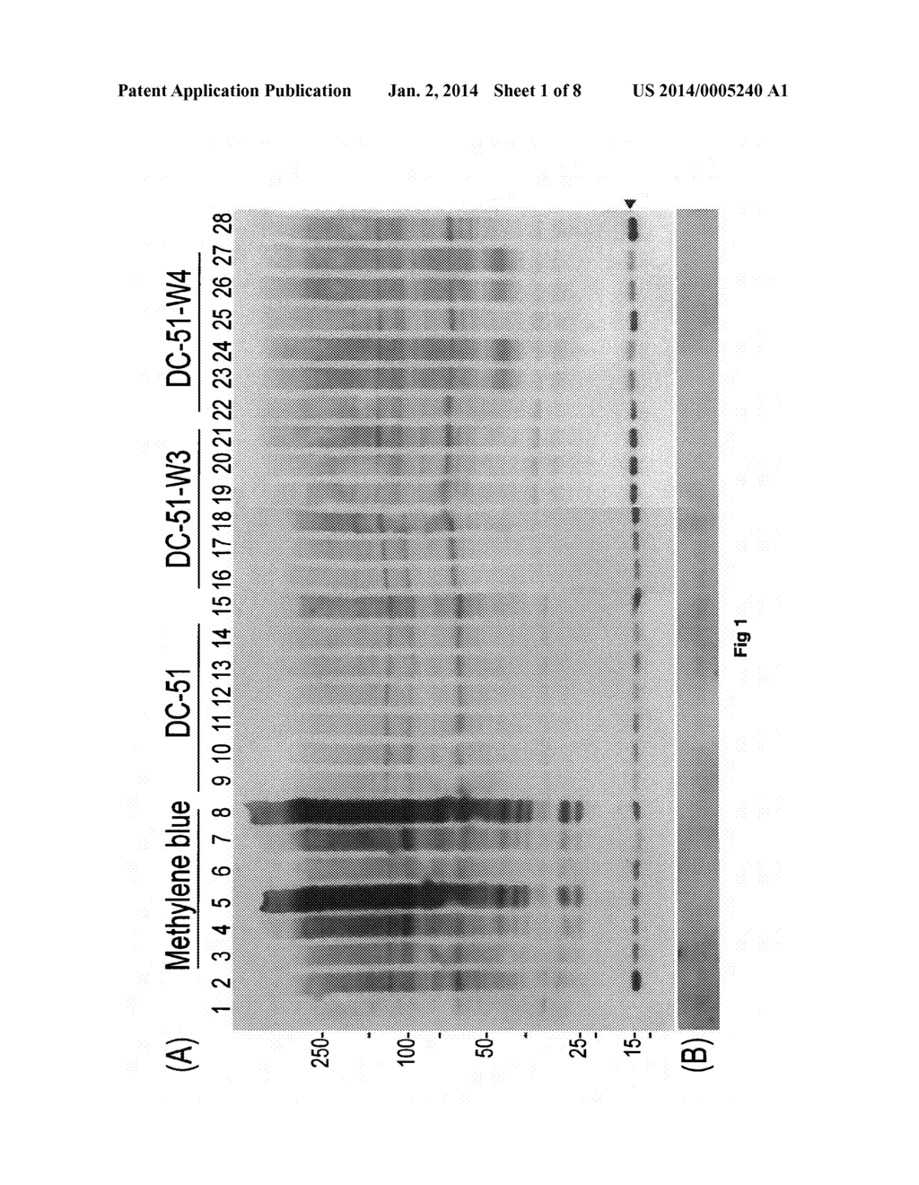 COMPOUNDS AND COMPOSITIONS FOR USE AS MODULATORS OF TAU AGGREGATION AND     ALLEVIATION OF TAUOPATHIES - diagram, schematic, and image 02