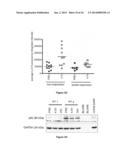 Compositions and Methods for Increasing Drug Efficacy in Cancer diagram and image