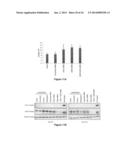 Compositions and Methods for Increasing Drug Efficacy in Cancer diagram and image