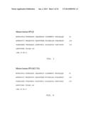 FC-Interferon-Beta Fusion Proteins diagram and image