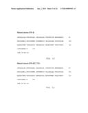 FC-Interferon-Beta Fusion Proteins diagram and image