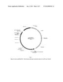 RECOMBINANT CYTOTOXIN AS WELL AS A METHOD OF PRODUCING IT diagram and image