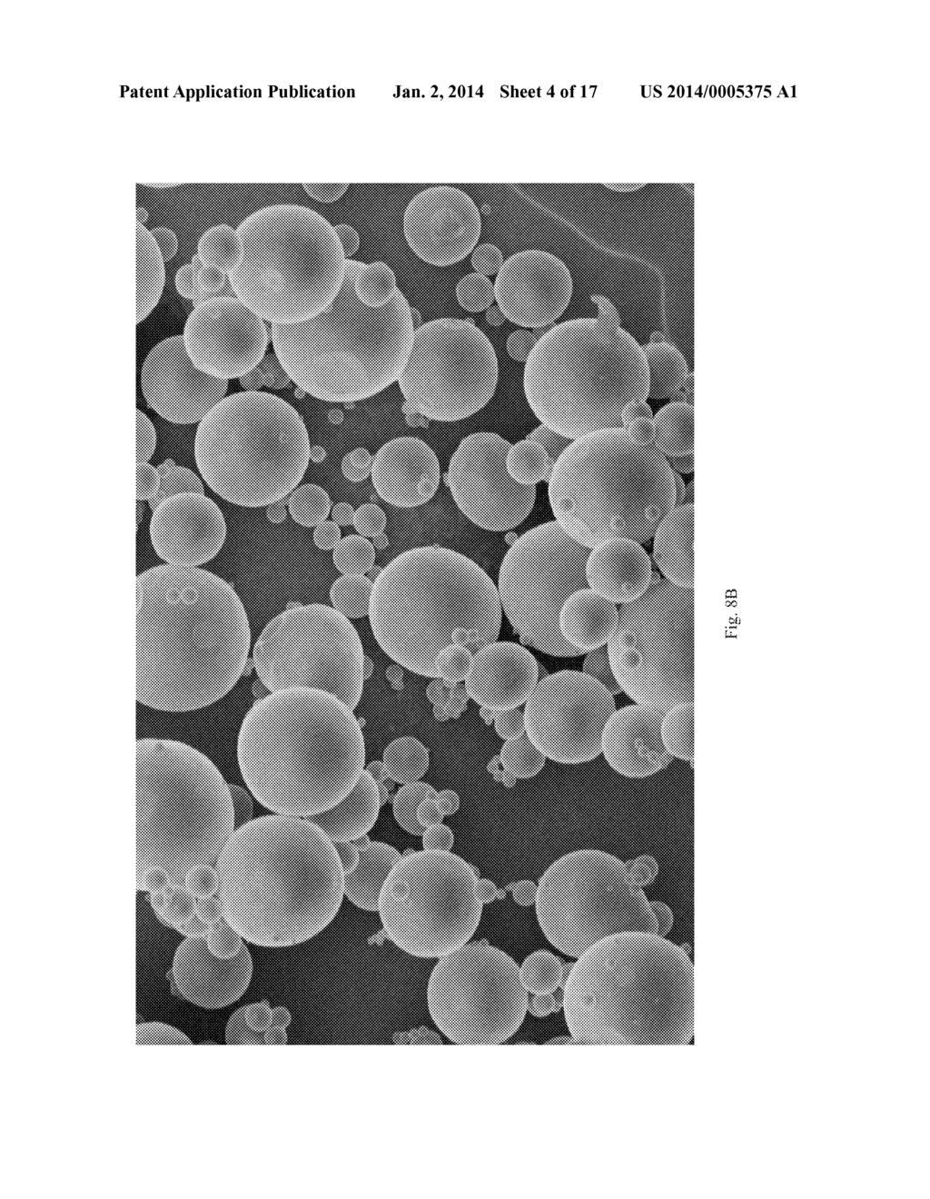 Medical Devices Based On Oxidized Cellulose - diagram, schematic, and image 05