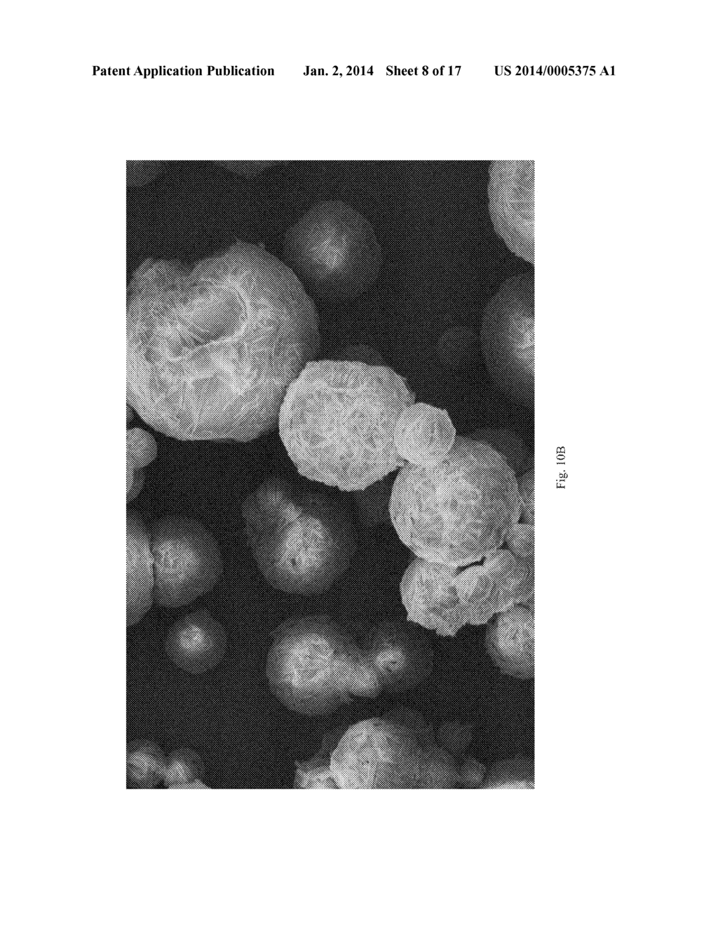 Medical Devices Based On Oxidized Cellulose - diagram, schematic, and image 09