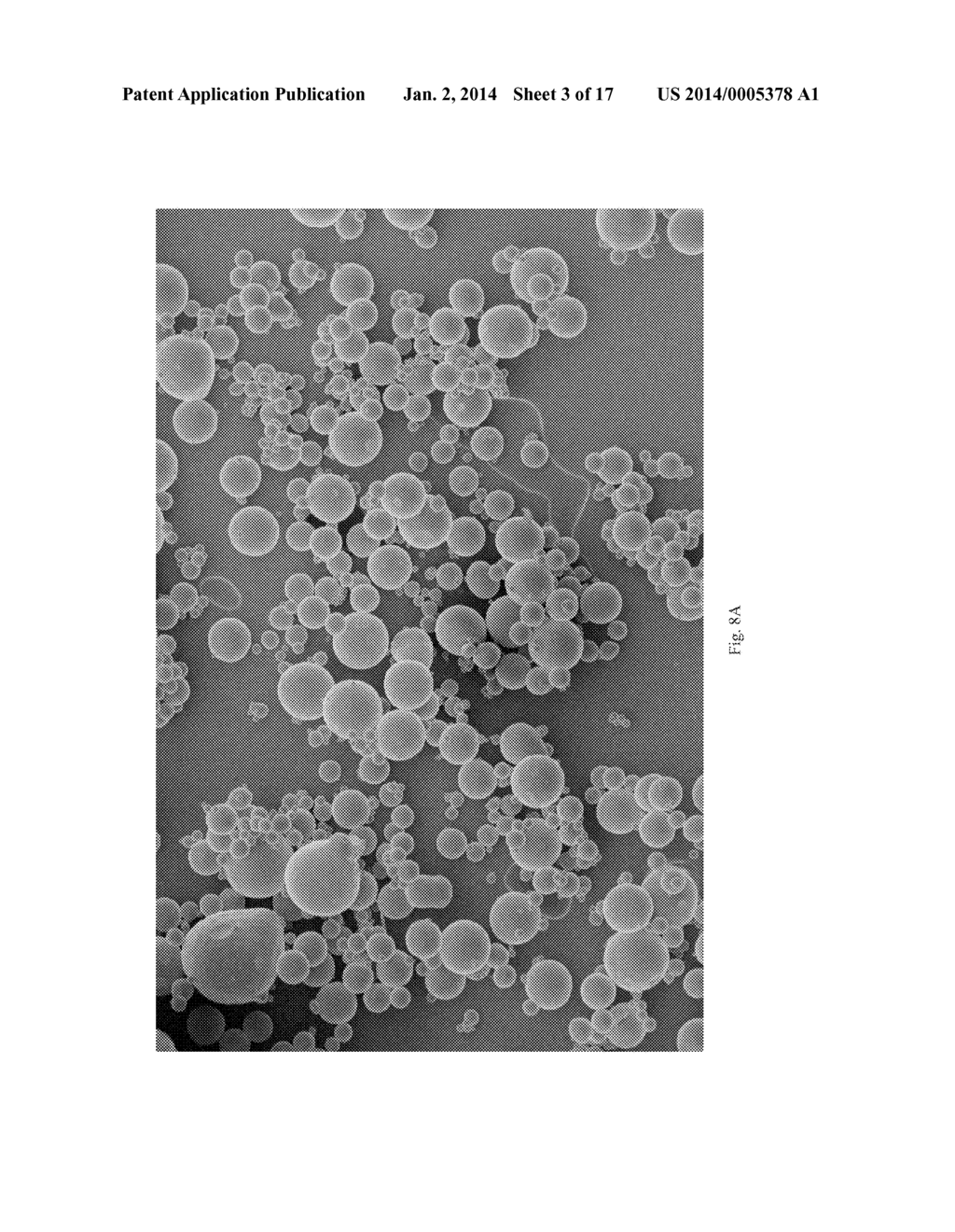 Dissolution of Oxidized Cellulose and Particle Preparation by     Cross-Linking With Multivalent Cations - diagram, schematic, and image 04