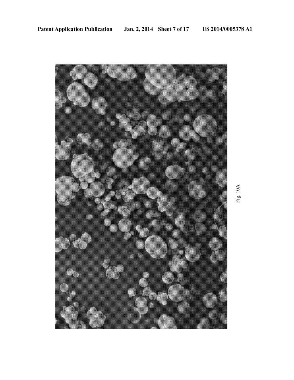 Dissolution of Oxidized Cellulose and Particle Preparation by     Cross-Linking With Multivalent Cations - diagram, schematic, and image 08