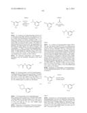 1H-PYRAZOLO[3,4-B]PYRIDINES AND THERAPEUTIC USES THEREOF diagram and image