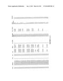 Methods and Compositions for Gray Leaf Spot Resistance in Corn diagram and image