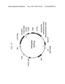 PLANTS HAVING ALTERED AGRONOMIC CHARACTERISTICS UNDER NITROGEN LIMITING     CONDITIONS AND RELATED CONSTRUCTS AND METHODS INVOLVING GENES ENCODING     LNT1 POLYPEPTIDES AND HOMOLOGS THEREOF diagram and image