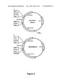 REDUCING LEVELS OF NICOTINIC ALKALOIDS IN PLANTS diagram and image