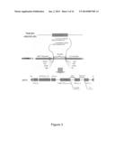 REDUCING LEVELS OF NICOTINIC ALKALOIDS IN PLANTS diagram and image