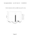 REDUCING LEVELS OF NICOTINIC ALKALOIDS IN PLANTS diagram and image