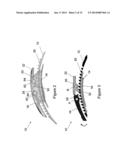 BUCKLE SYSTEM FOR SPORTS SHOE diagram and image