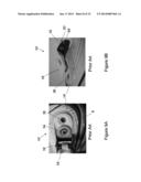 BUCKLE SYSTEM FOR SPORTS SHOE diagram and image