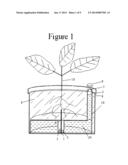 SELF WATERING PLANT SYSTEM diagram and image