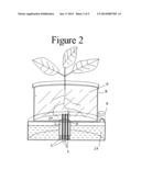 SELF WATERING PLANT SYSTEM diagram and image