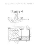 SELF WATERING PLANT SYSTEM diagram and image