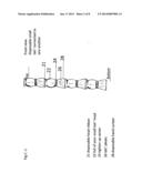 Smooth Talc  r  possible second article Small Talc  diagram and image