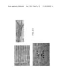 TWO-STAGE MICROFLUIDIC DEVICE FOR ACOUSTIC PARTICLE MANIPULATION AND     METHODS OF SEPARATION diagram and image